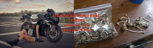 a pvp Богородск