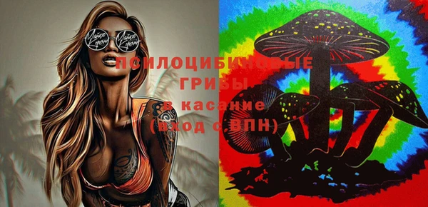крисы Богданович