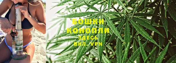 молекула духа Белоозёрский