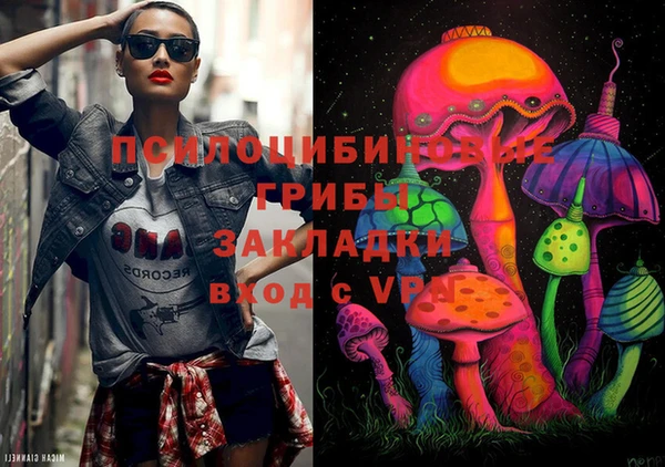 крисы Богданович