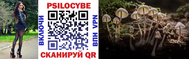 купить наркоту Бородино Галлюциногенные грибы мухоморы