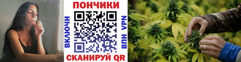 закладка  blacksprut как войти  Конопля планчик  Бородино 